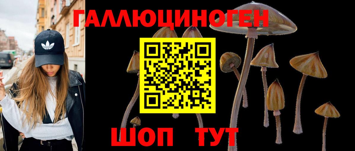 Аргун  Псилоцибиновые грибы ЛСД  Вход с VPN 